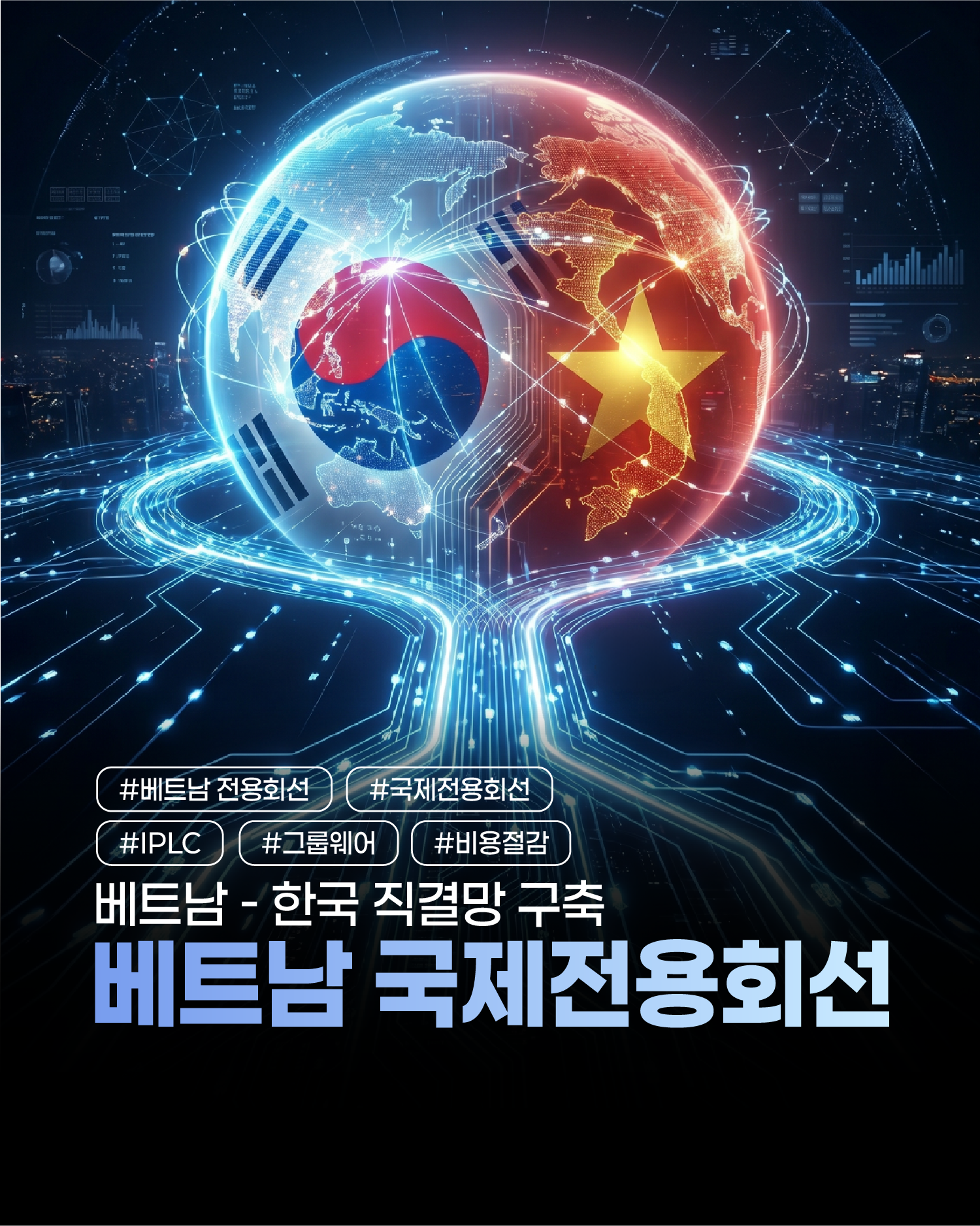 [하이온넷] 하이온넷의 기업전용 베트남 전용 회선 서비스: HGX-VN